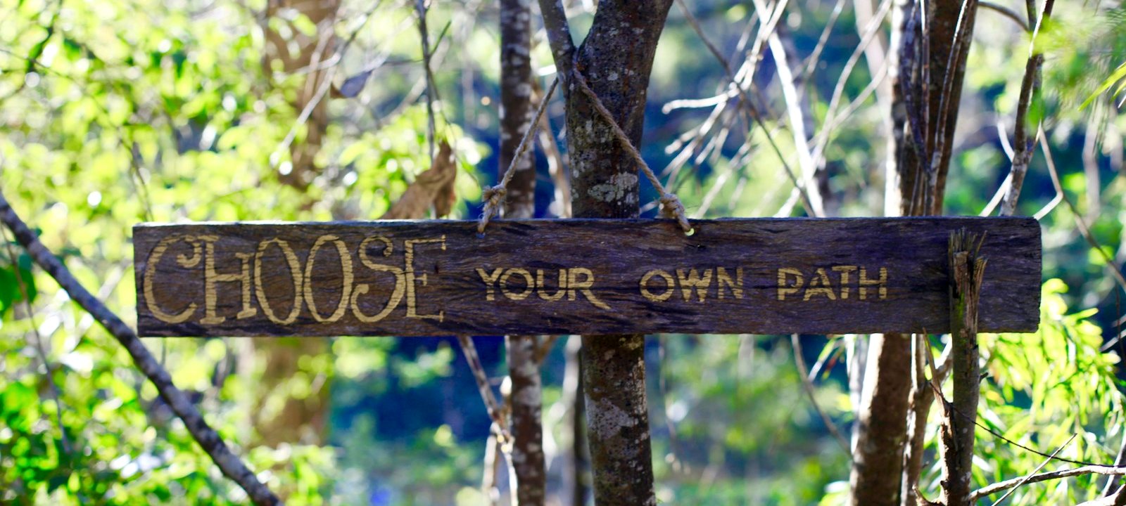 Wooden signpost reading Choose Your Own Path in a forest