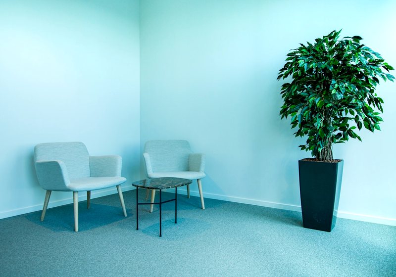 Calm, minimal spa waiting area with a plant and two chairs